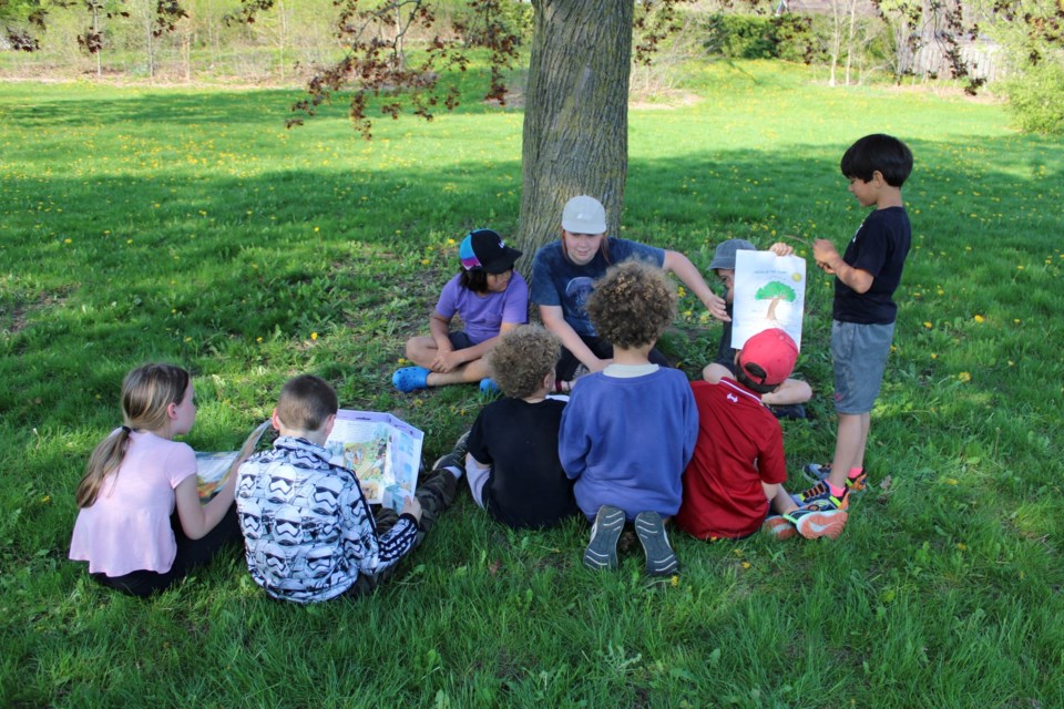 Embracing Nature The Role of Outdoor Learning in Montessori Education